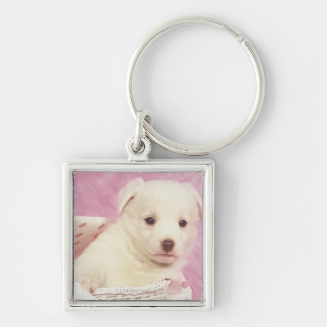 Puppy 5 key ring (Front)