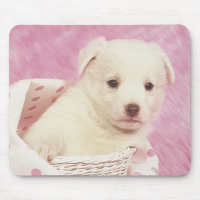 Puppy 5 mouse mat (Front)