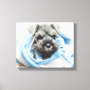 Puppy After Bath Canvas Print