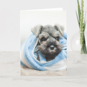 Puppy After Bath Card