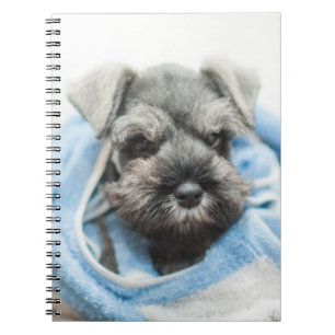 Puppy After Bath Notebook