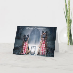 Puppy and adult german shepherd holiday card