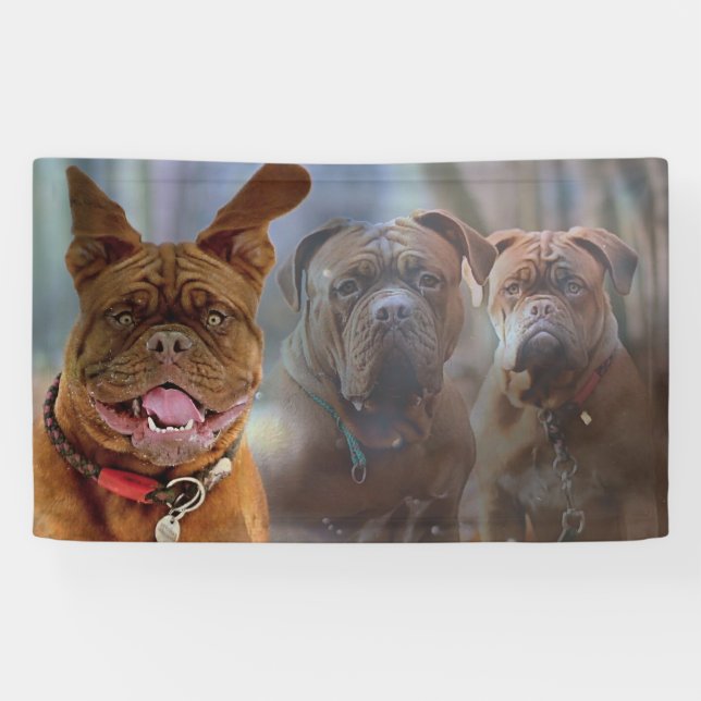 Puppy and Friends Banner (Horizontal)