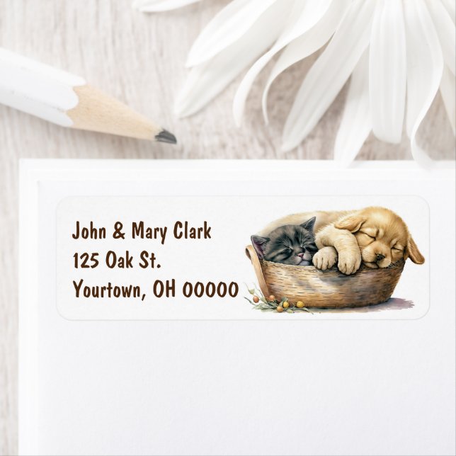 Puppy And Kitten In Basket (Insitu)