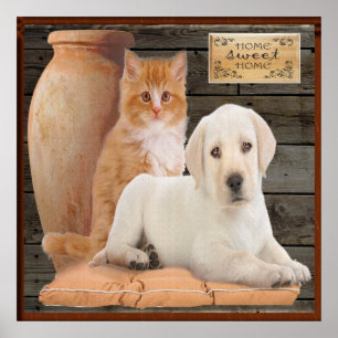 puppy and kitten poster