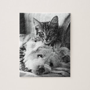Puppy and Kitten Puzzle