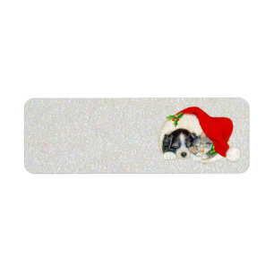 Puppy and Kitten Sleeping Under Santa's Hat