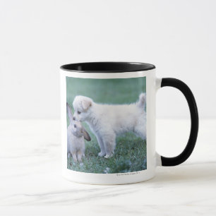 Puppy and Lop Ear Rabbit on lawn Mug