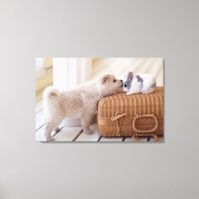 Puppy and rabbit canvas print (Front)