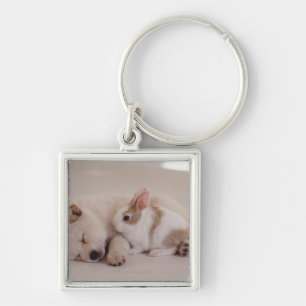 Puppy and Rabbit Key Ring
