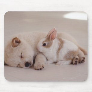 Puppy and Rabbit Mouse Mat