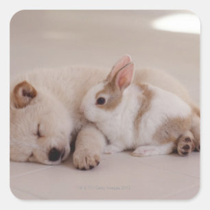 Puppy and Rabbit Square Sticker