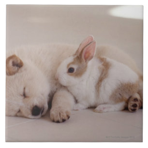 Puppy and Rabbit Tile