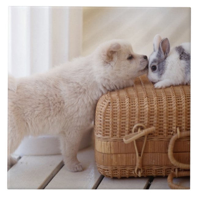 Puppy and rabbit tile (Front)