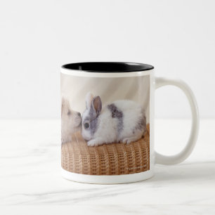 Puppy and rabbit Two-Tone coffee mug