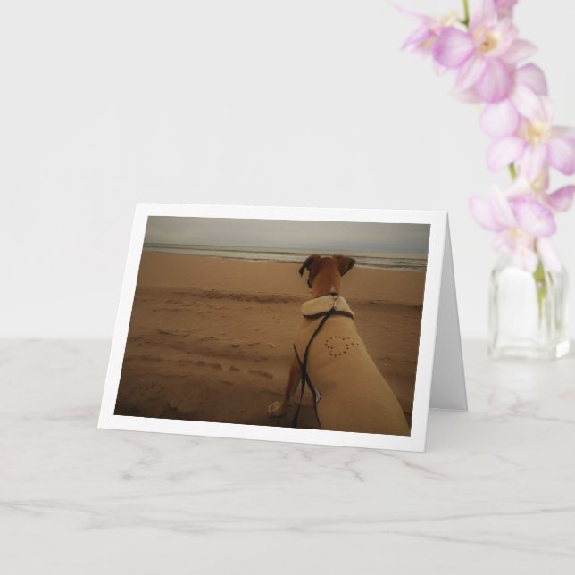 Puppy at Beach Card (Orchid)
