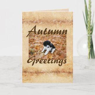 Puppy Autumn Greetings Card