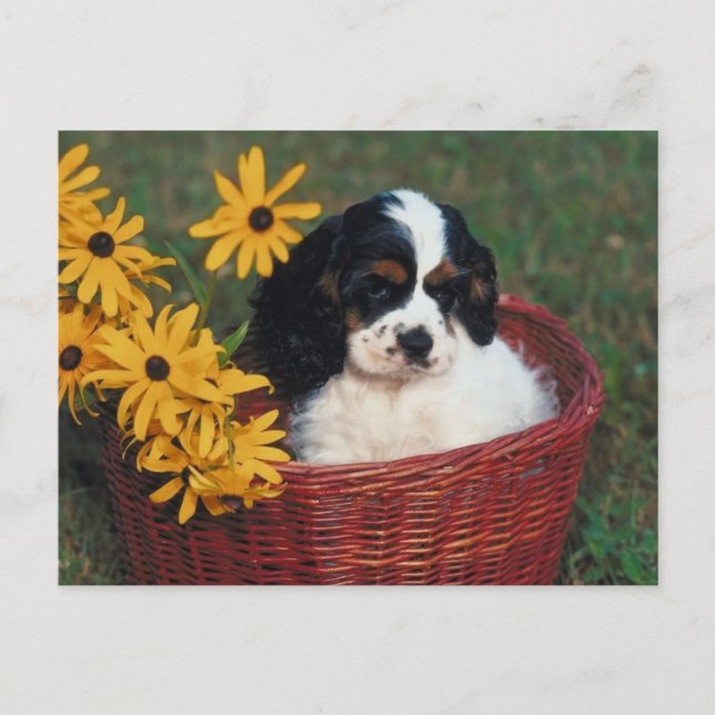 Puppy Basket Postcard (Front)