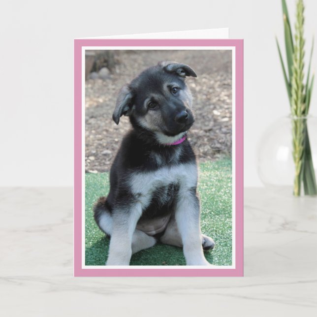 Puppy Be My Valentine Holiday Card (Front)