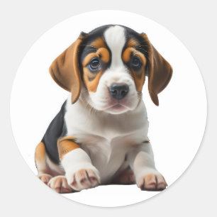 Puppy Beagle Classic Round Sticker