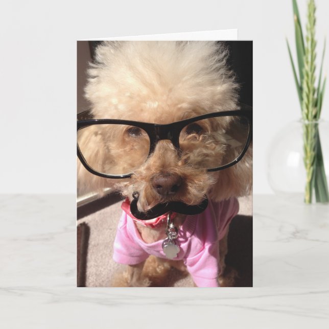 Puppy Birthday Card (Front)