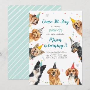 Puppy Birthday Invitation Dog Party Pawty Boy