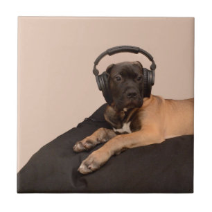 Puppy Bullmastiff Tile