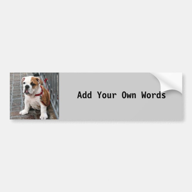 Puppy Bumper Sticker (Front)