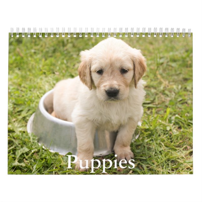 Puppy Calendar (Cover)