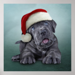 Puppy Cane Corso in red hat of Santa Claus Poster
