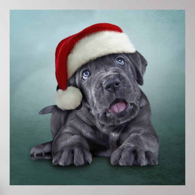 Puppy Cane Corso in red hat of Santa Claus Poster (Front)