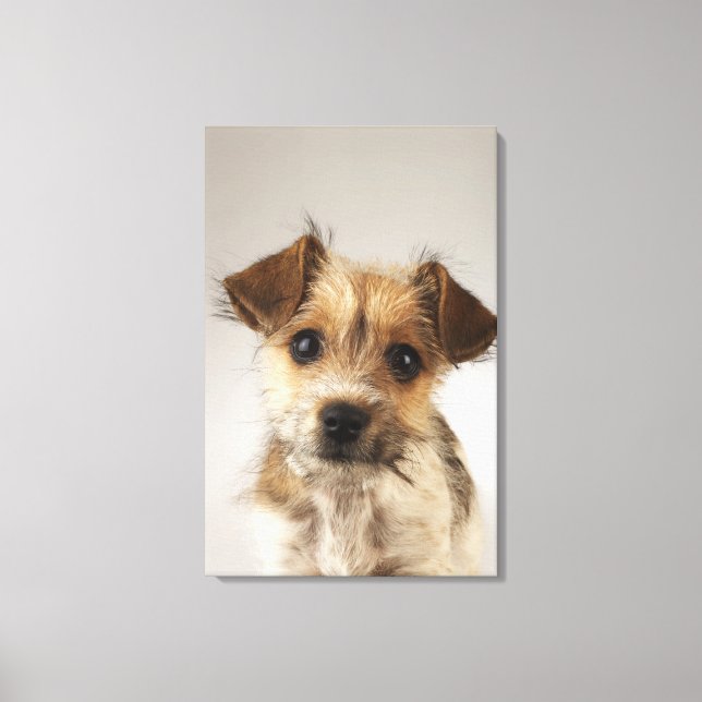 Puppy (Canis familiaris) 2 Canvas Print (Front)