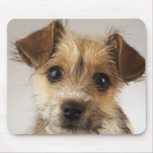Puppy (Canis familiaris) Mouse Mat