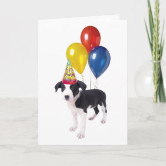puppy card