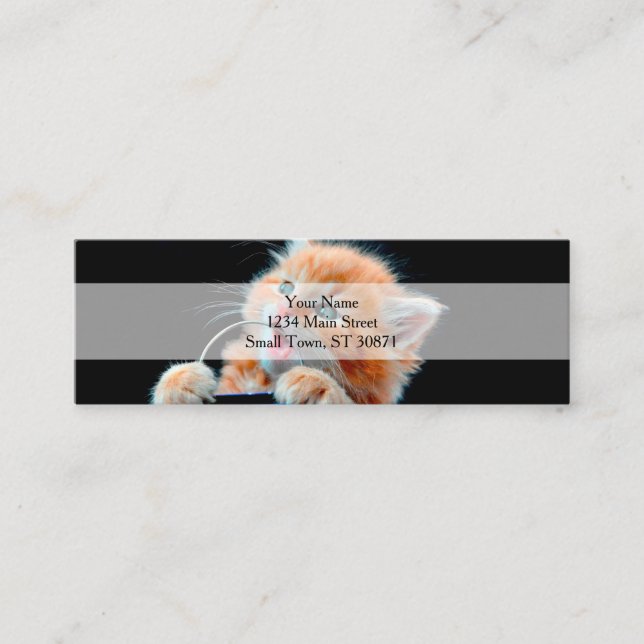 Puppy Cat biting a toy Mini Business Card (Front)