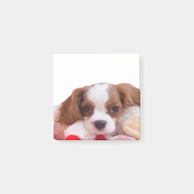 Puppy Cavalier King Charles Spaniel Post It Notes (Front)