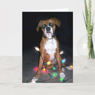 Puppy Christmas Card