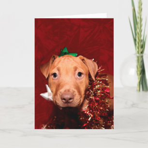 Puppy Christmas help Holiday Card