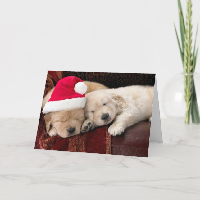 Puppy Christmas Holiday Card (Front)