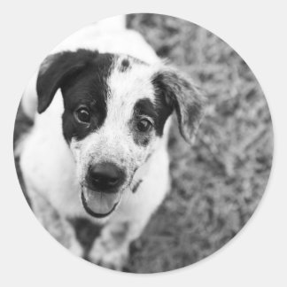 Puppy Classic Round Sticker