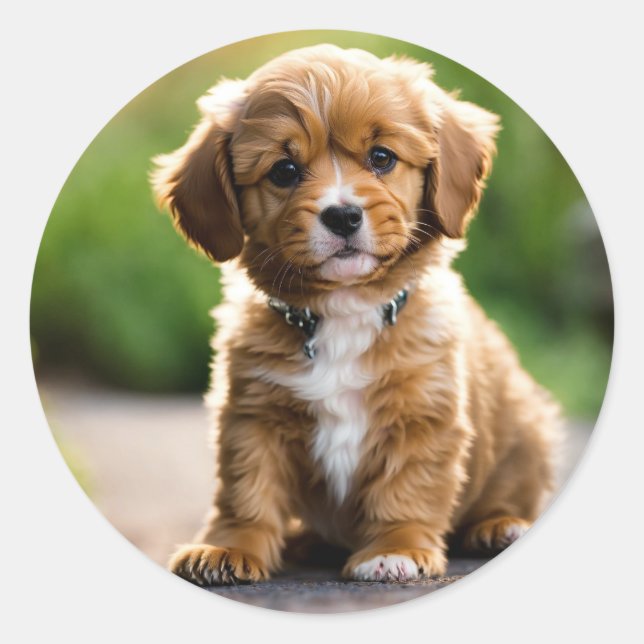 Puppy Classic Round Sticker (Front)