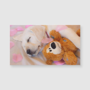Puppy cuddles 02