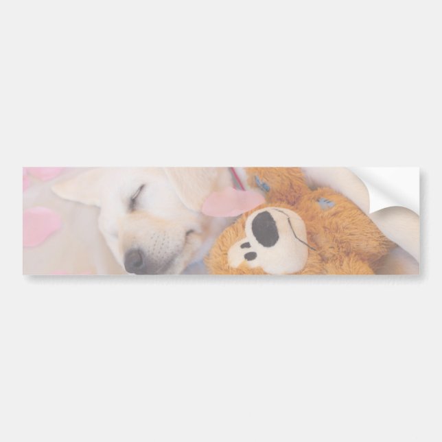 Puppy cuddles 02 bumper sticker (Front)