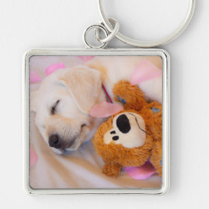 Puppy cuddles 02 key ring