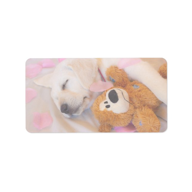 Puppy cuddles 02 label (Front)