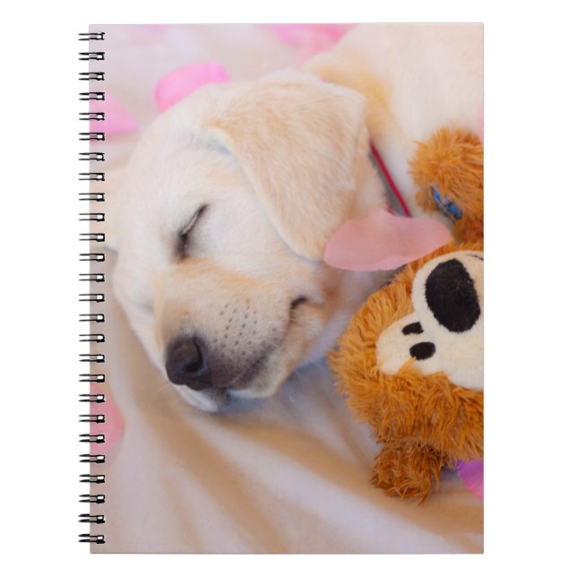 Puppy cuddles 02 notebook (Front)