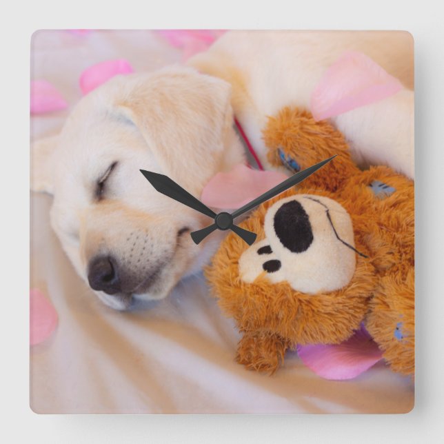 Puppy cuddles 02 square wall clock (Front)
