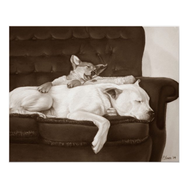 puppy cuddling white american bulldog realist art poster (Front)