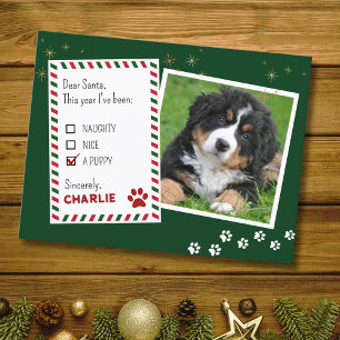 Puppy Dear Santa Green Christmas Greeting Card