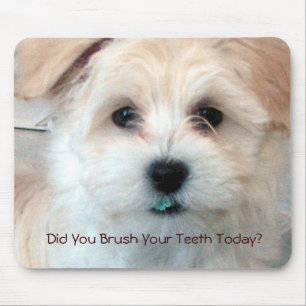 Puppy - Did You Brush Your Teeth Today? Mouse Mat